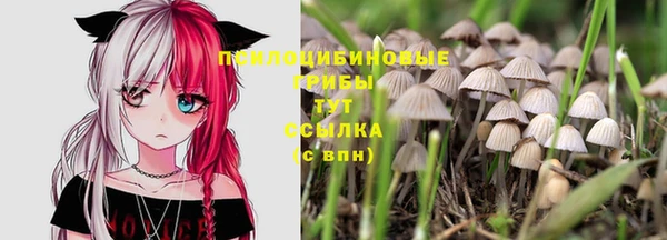марихуана Гусев