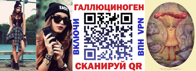 Галлюциногенные грибы Psilocybine cubensis  блэк спрут сайт  Вытегра 